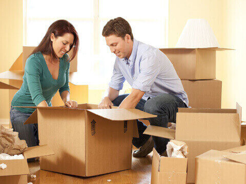   1005593 Superceded by 1013938 for sale