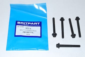 OEM FB106111L BOLT FLANGED HEAD for sale